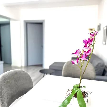 Center 2br Tirana