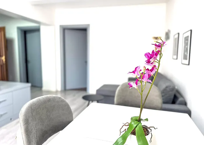 Center 2br 티라나